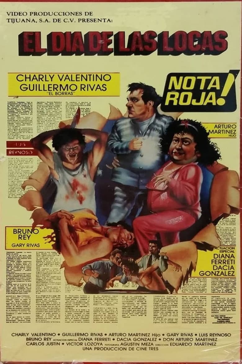 El día de las locas poster