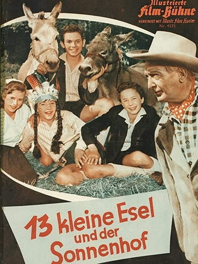 13 Little Donkeys and the Sun Court poster