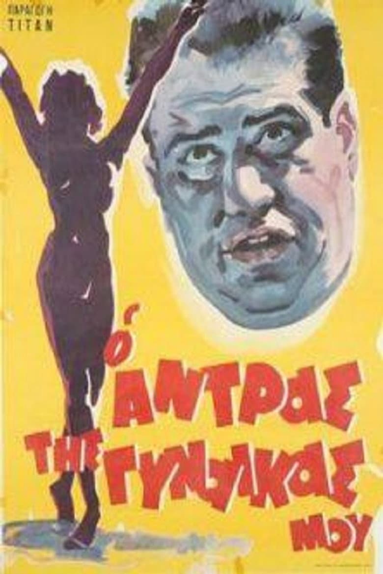 My Wife's Husband poster