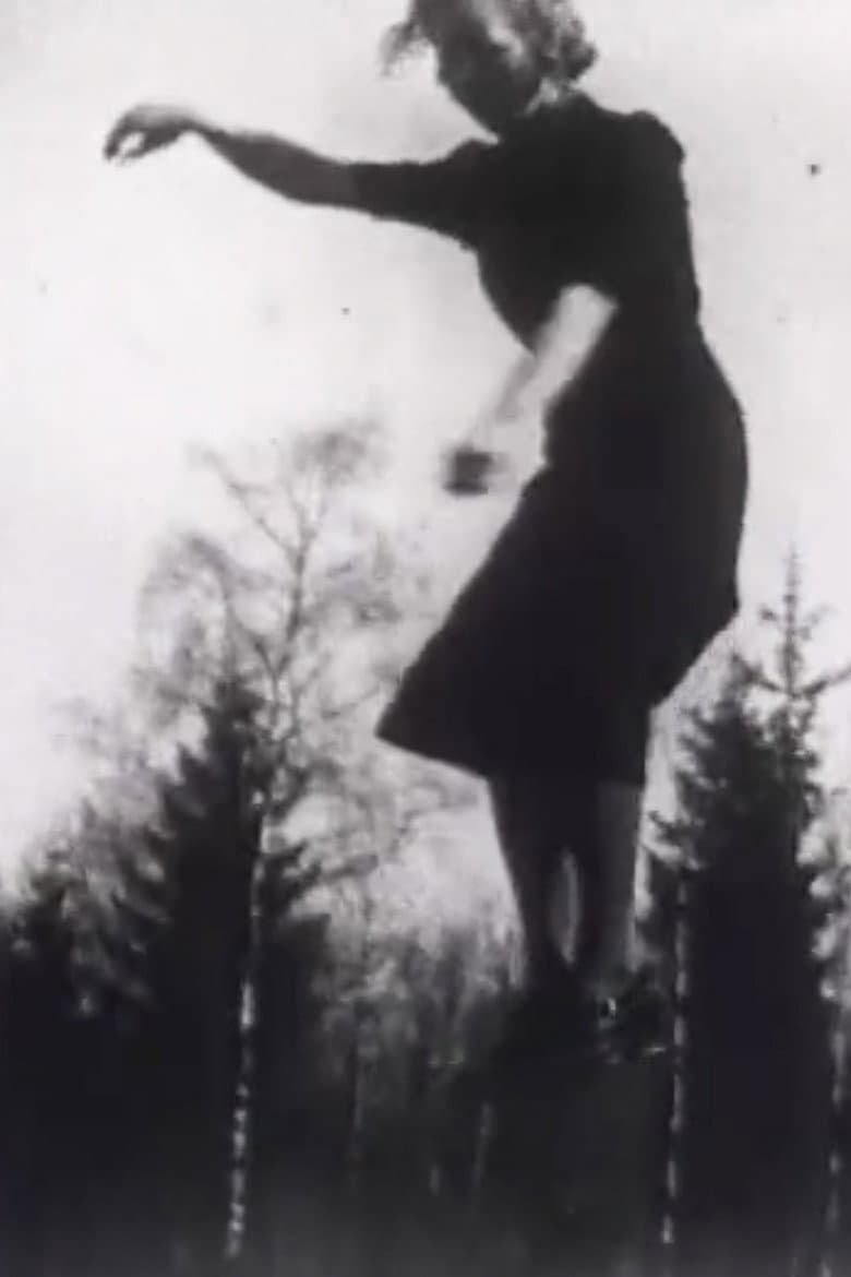 Taidonnäytteitä ja voimainkoetuksia poster