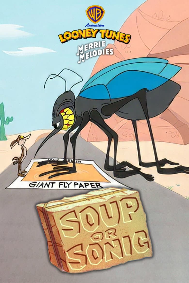 Soup or Sonic poster