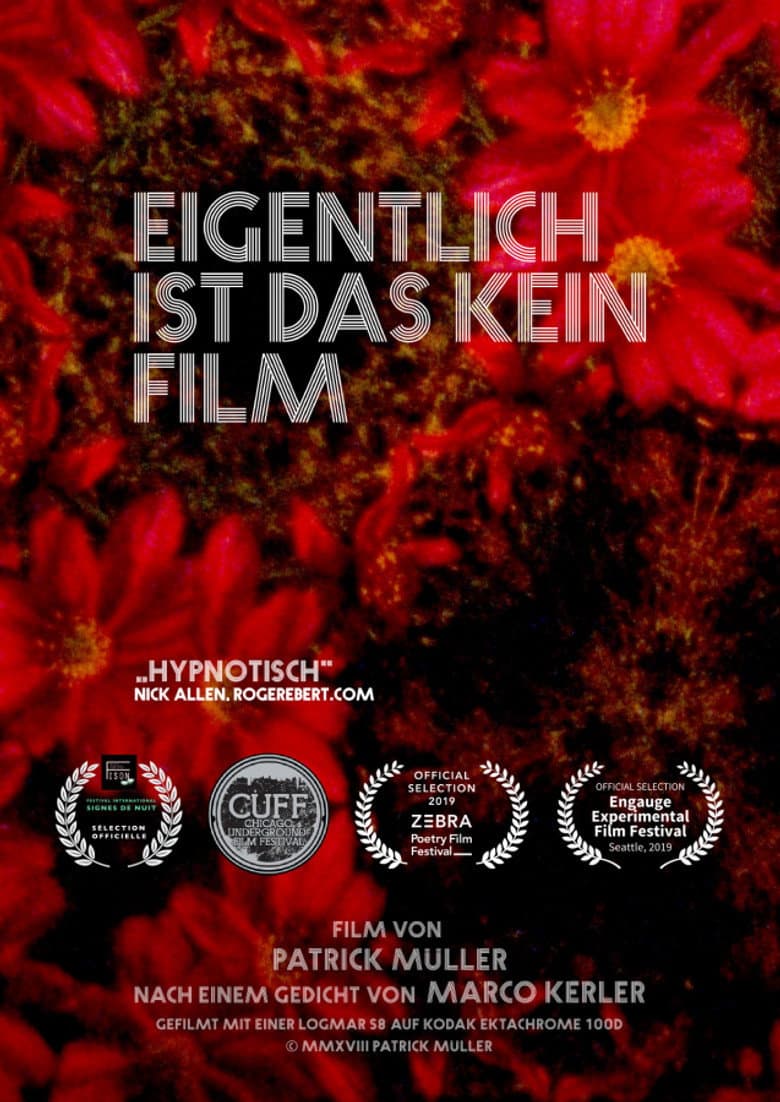 Actually, This Is Not a Film poster