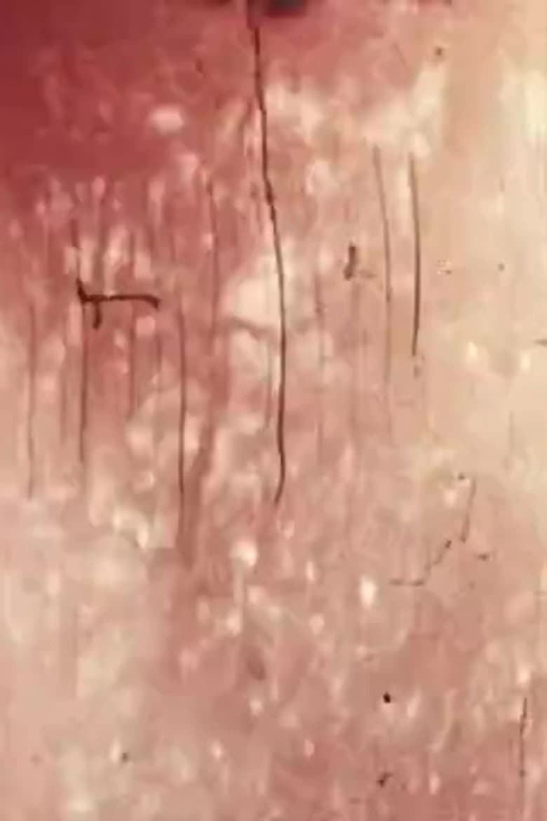 Awakener [16mm version] poster