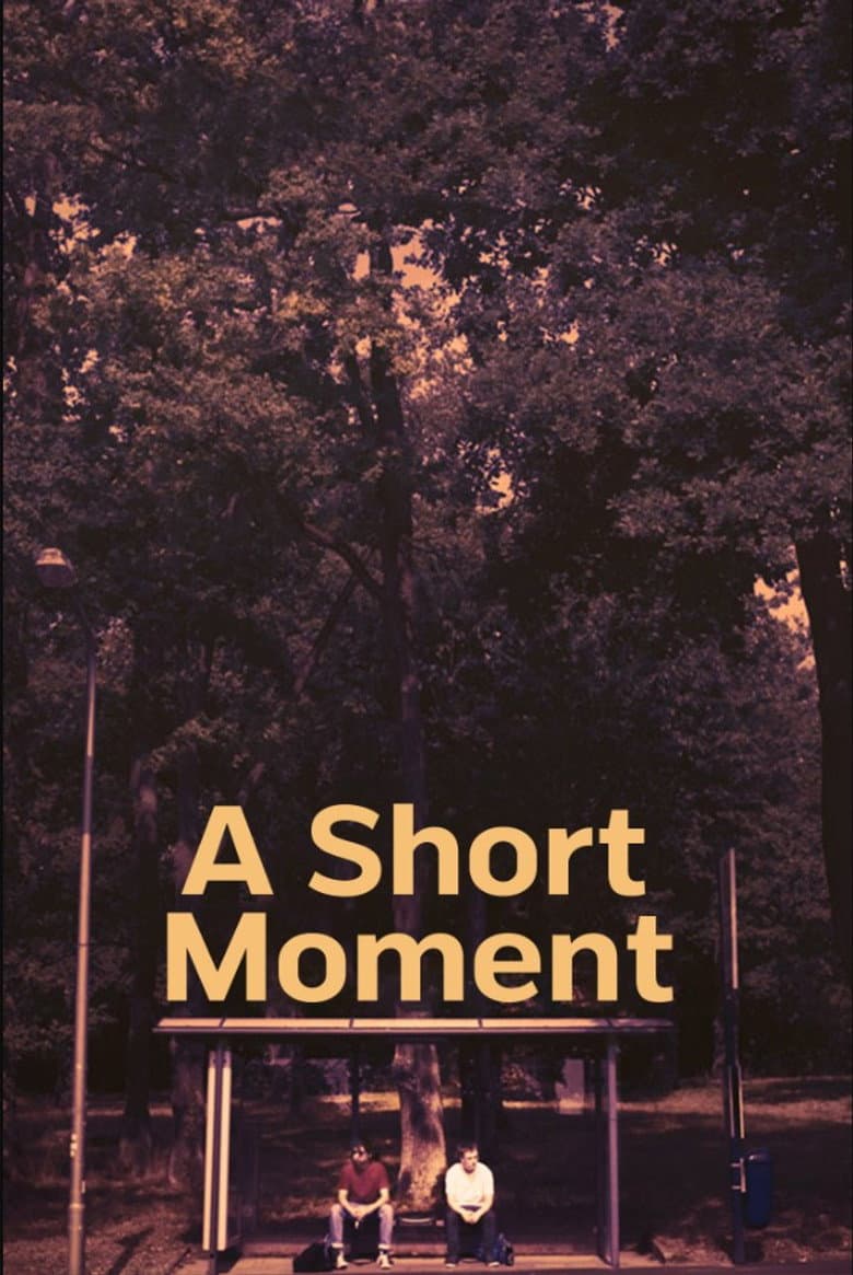 A Short Moment poster