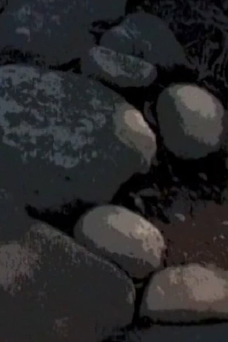 A Walk Through Waseda Garden poster