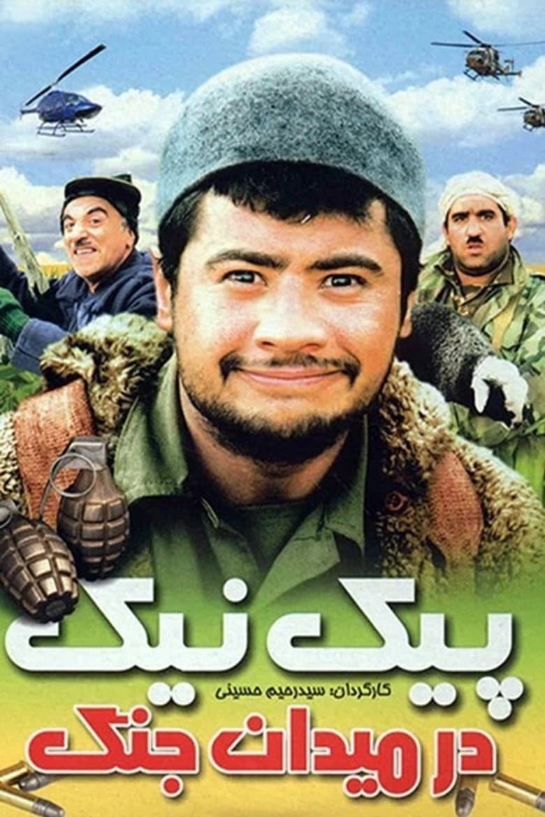 Piknik Dar Meydan-e Jang poster