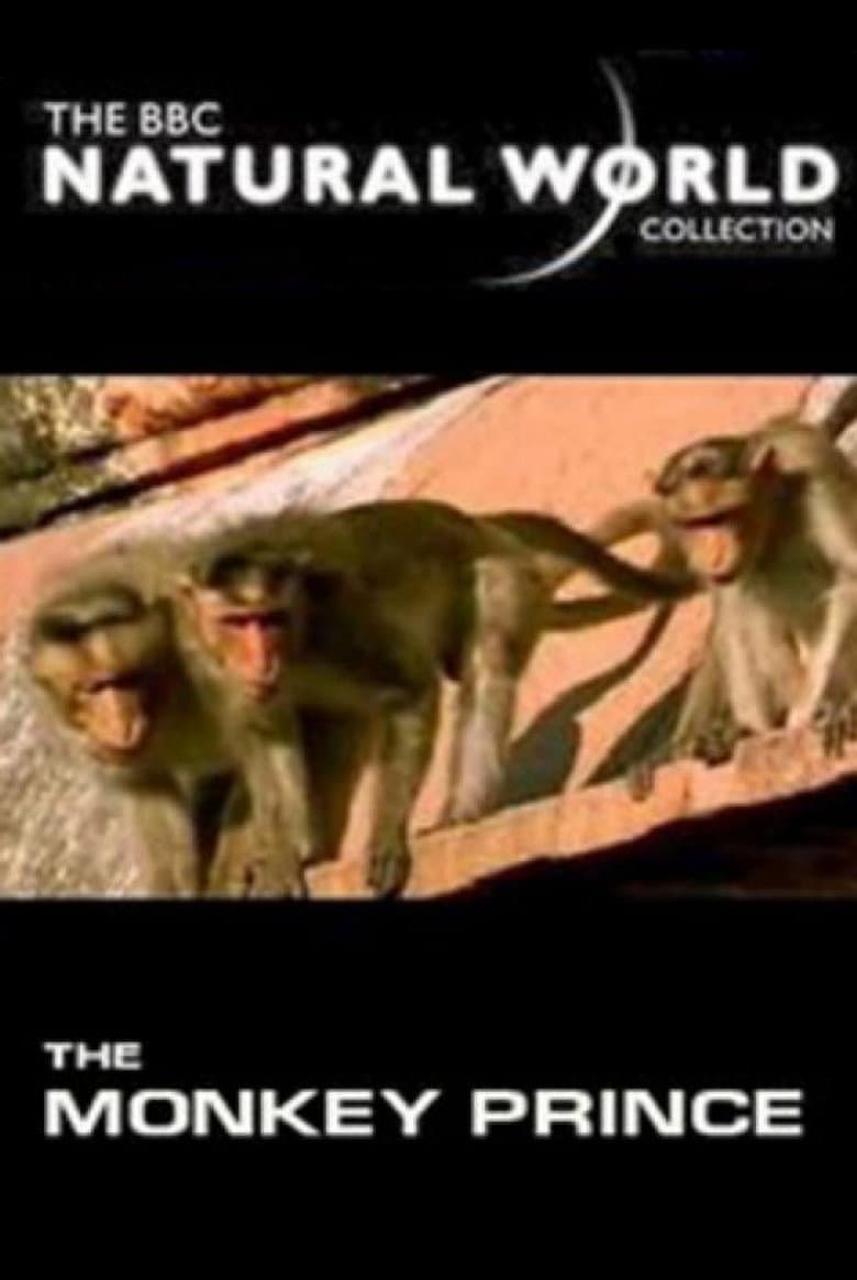The Monkey Prince poster