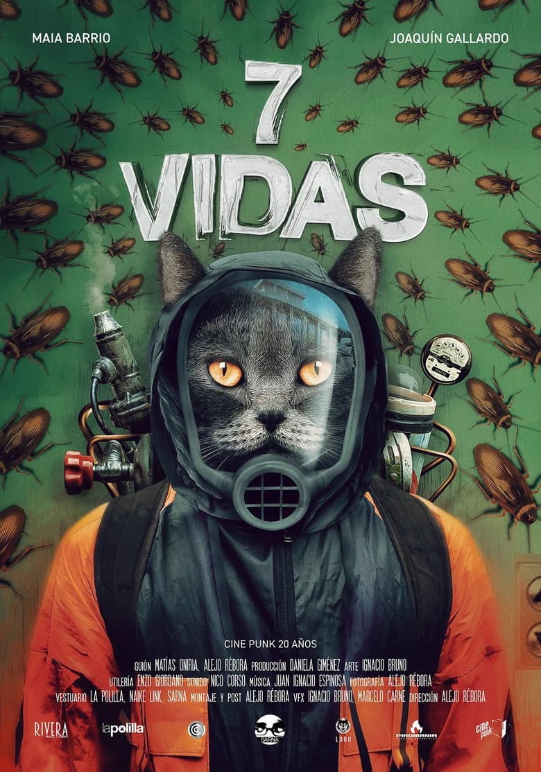 7 vidas poster