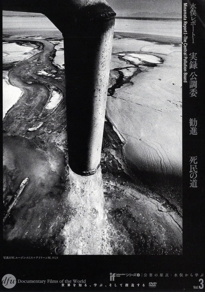 Minamata Report 1 - The Central Pollution Board poster