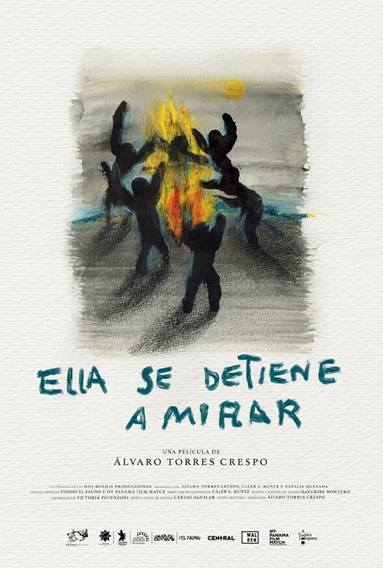 She Stops and Looks poster