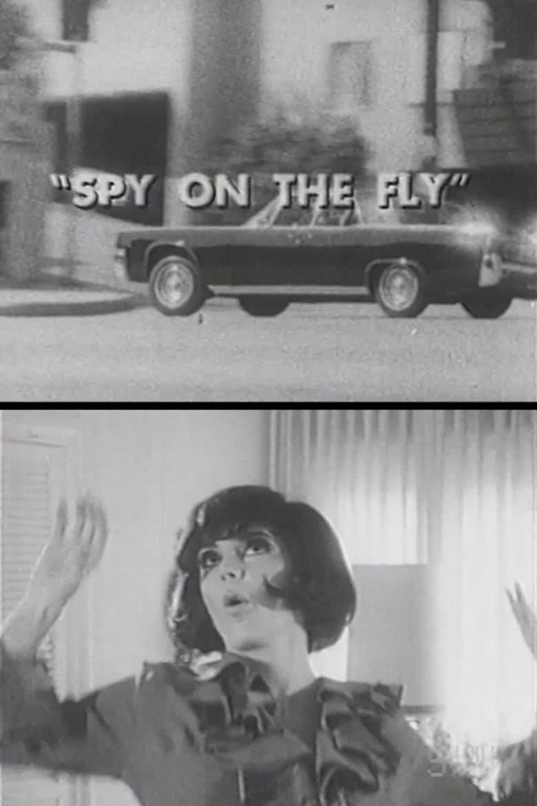 Spy on the Fly poster