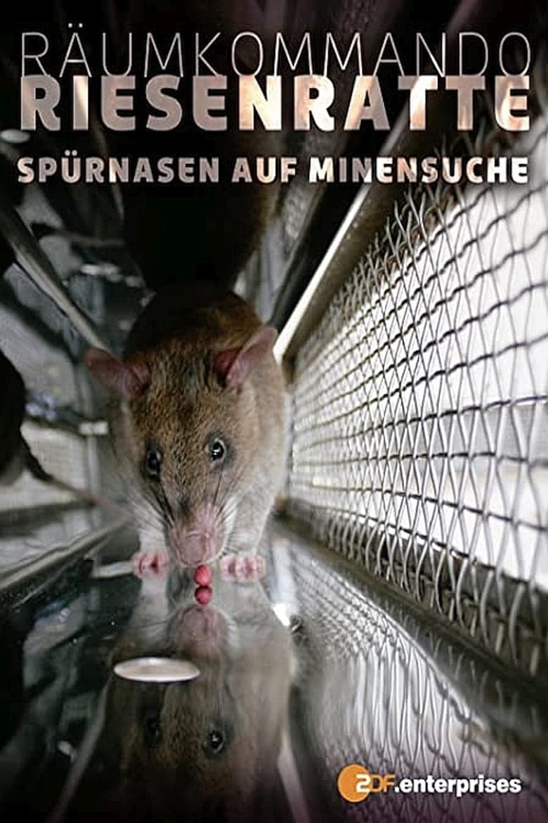 Räumkommando Riesenratte - Spürnasen auf Minensuche poster