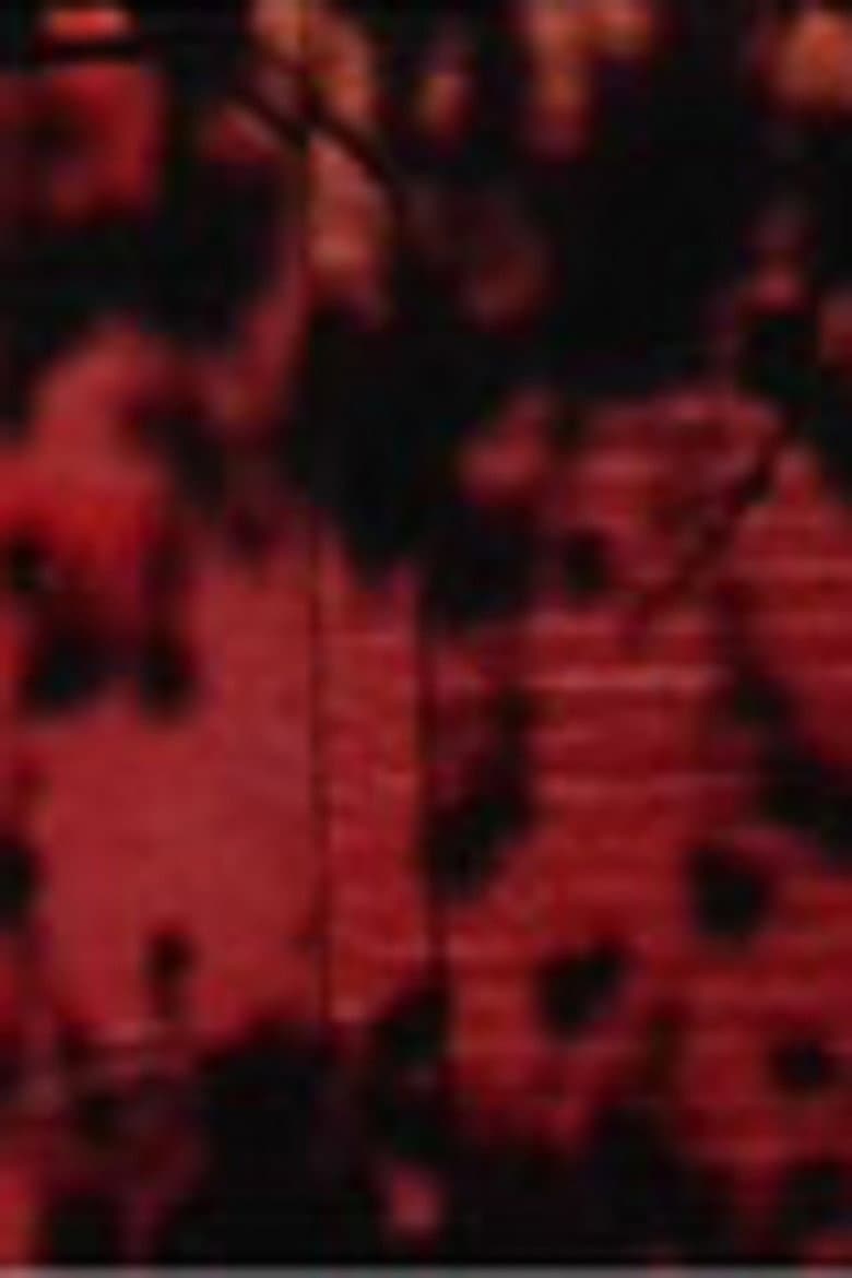 Schatten auf roter Wand poster