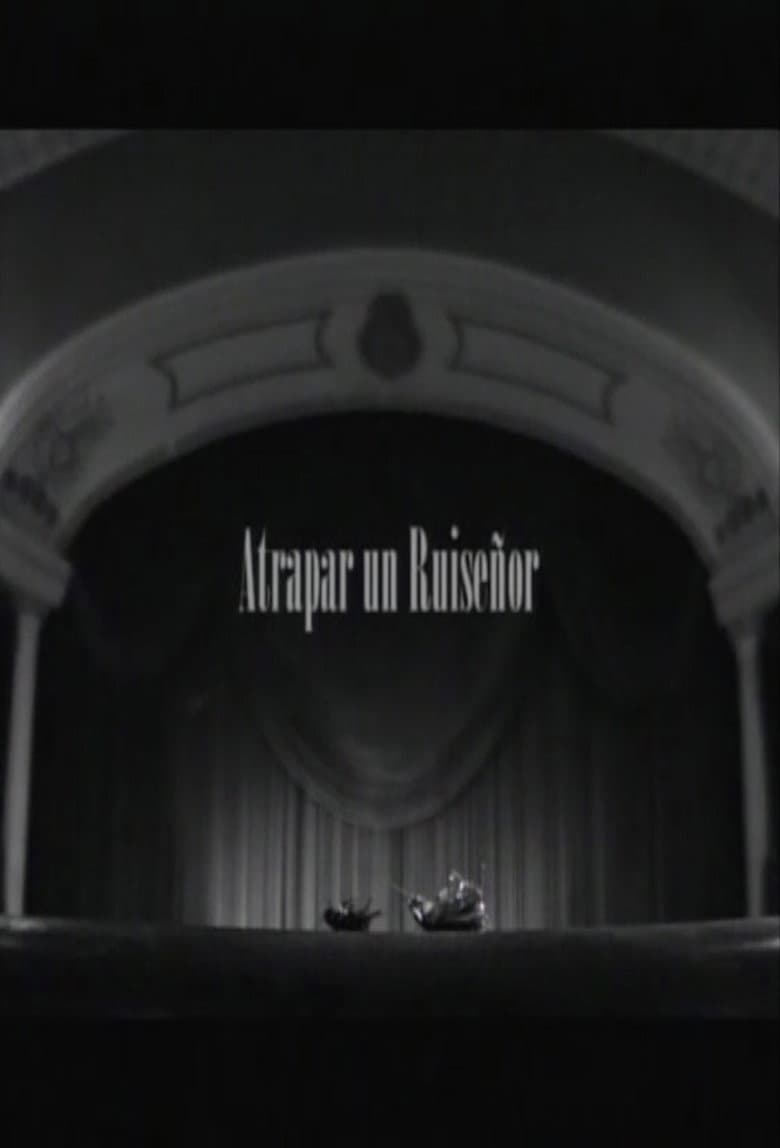 Atrapar un ruiseñor poster