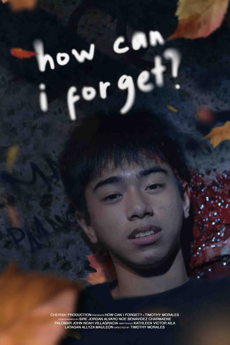How Can I Forget? poster