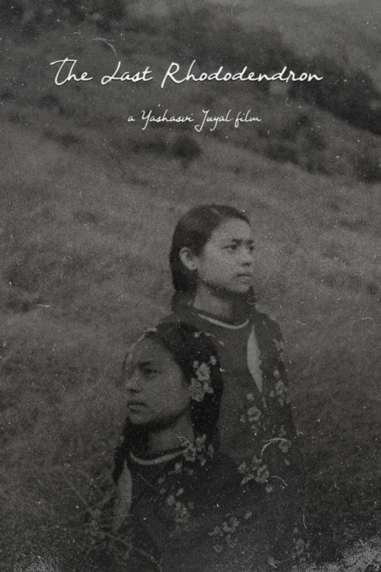 The Last Rhododendron poster
