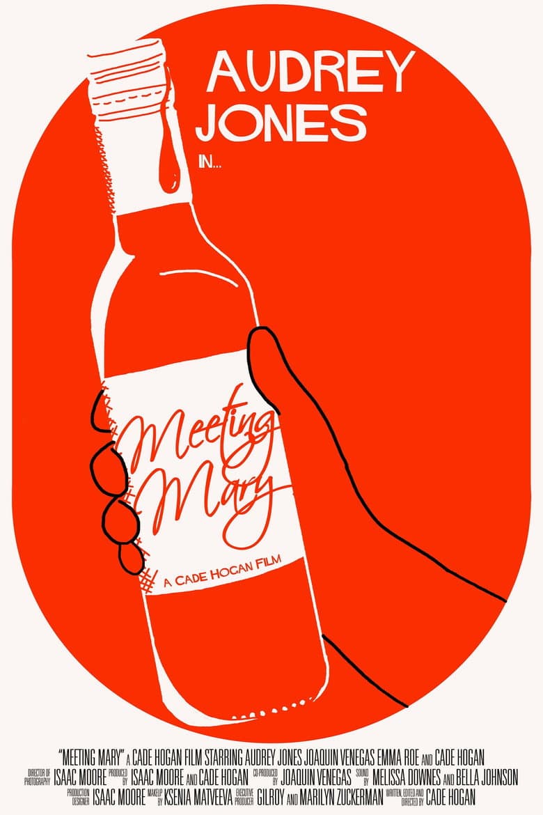 Meeting Mary poster