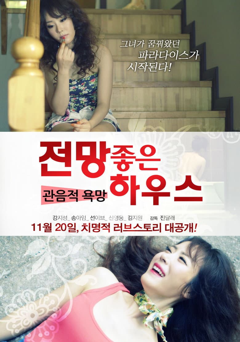 House With a Good View: Voyeuristic Desire poster