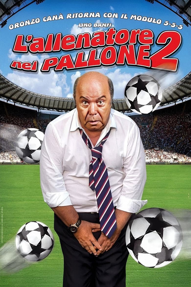 L'allenatore nel pallone 2 poster
