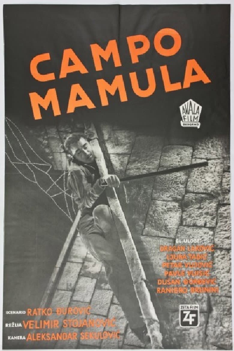 Mamula Camp poster