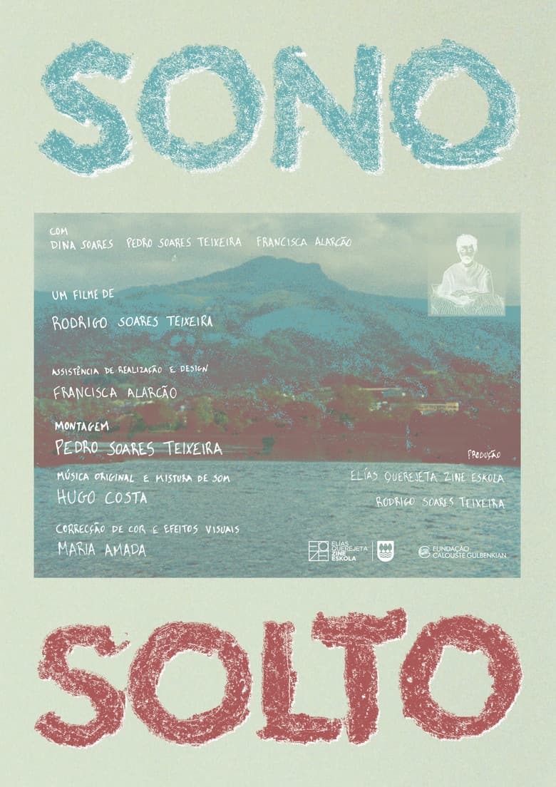 Sono Solto poster
