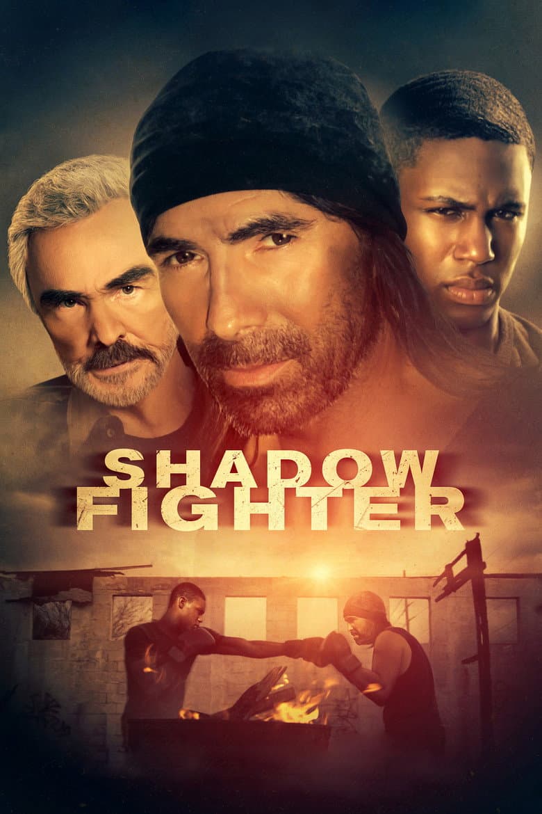 Shadow Fighter poster