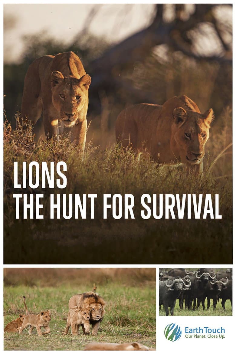 Lions: The Hunt for Survival poster
