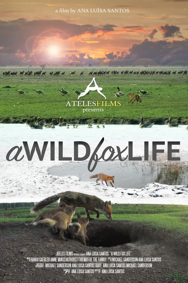 A Wild Fox Life poster