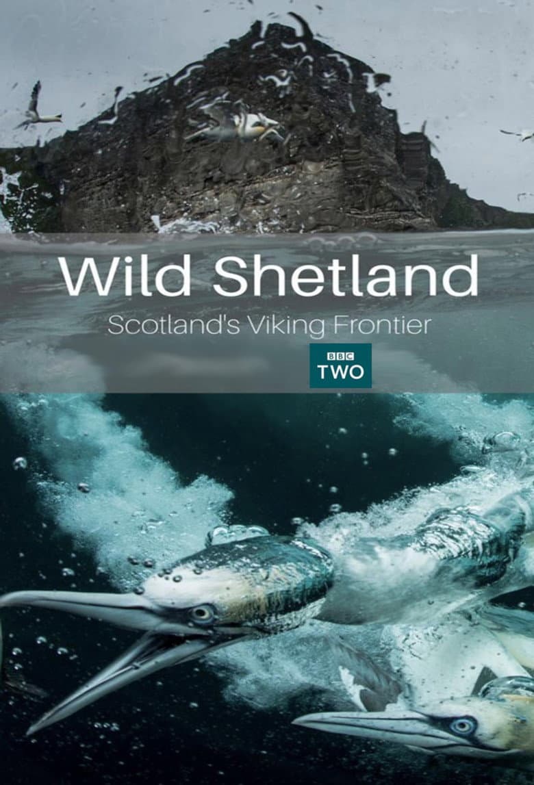 Wild Shetland: Scotland's Viking Frontier poster