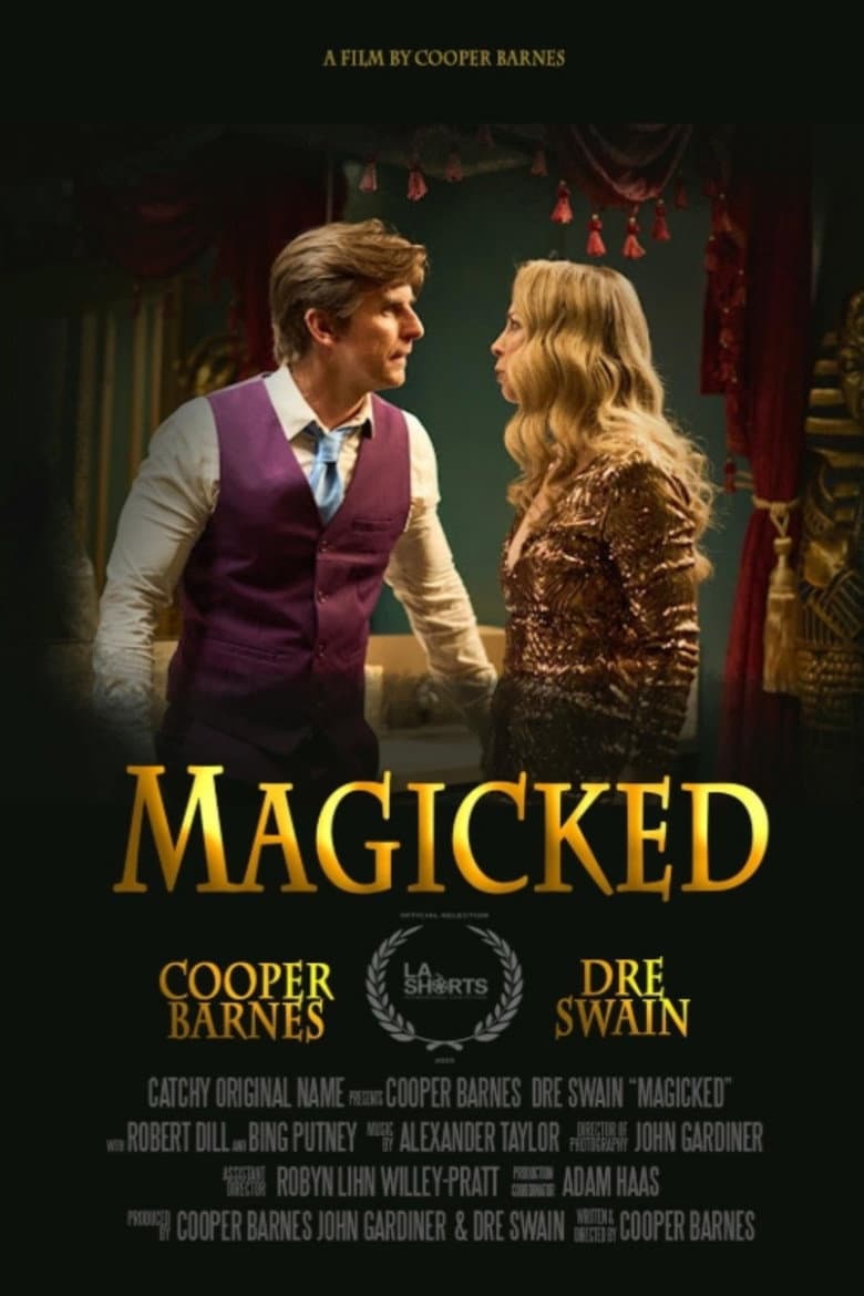 Magicked poster