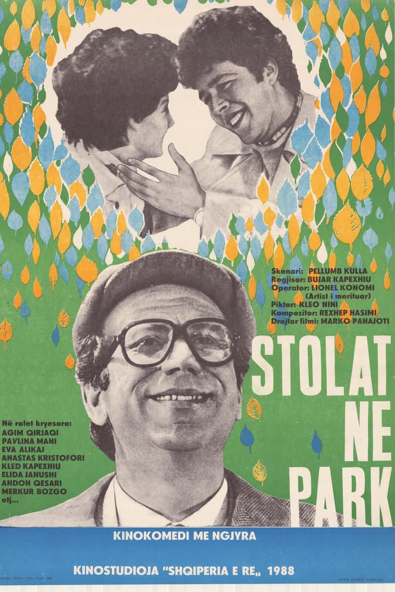 Stolat në park poster