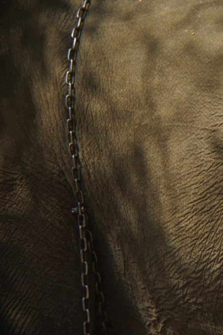 Memory of the Blind Elephant poster