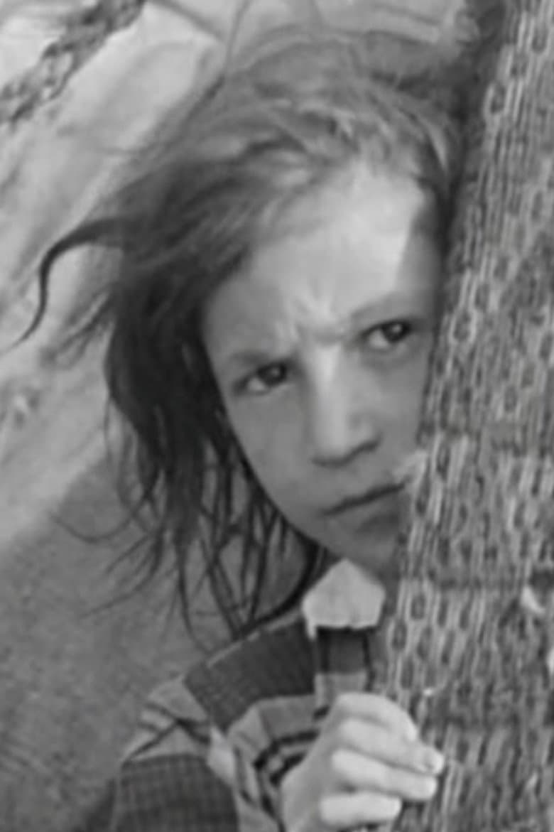 They Come Across the Borders poster