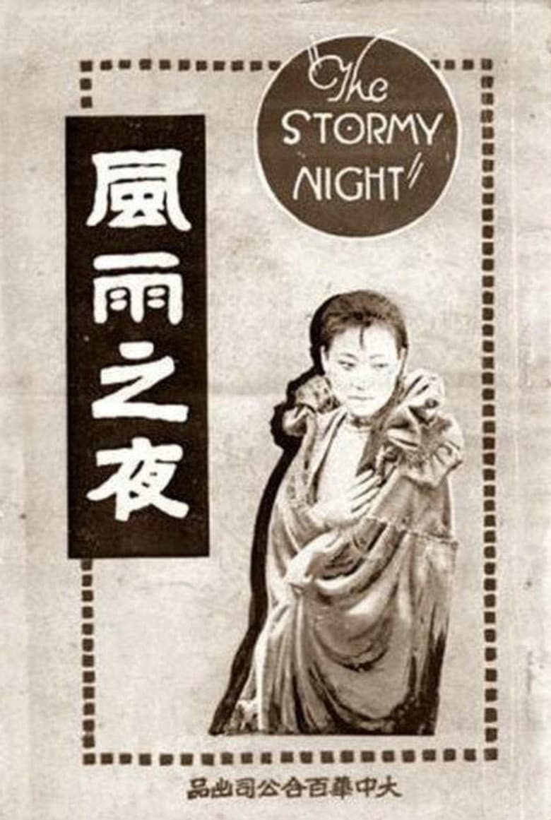 The Stormy Night poster