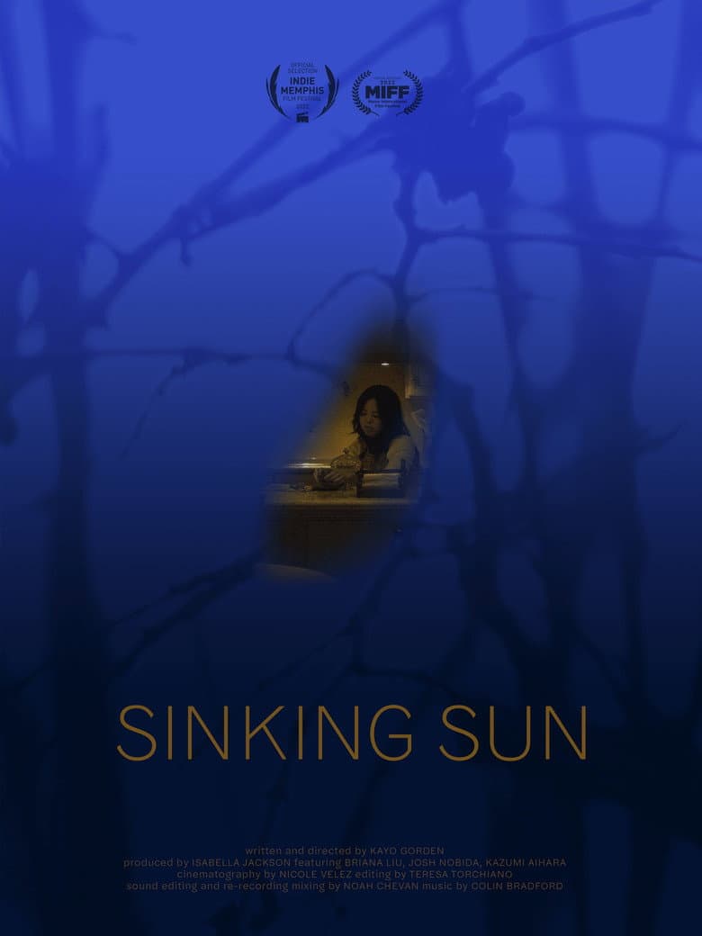 Sinking Sun poster