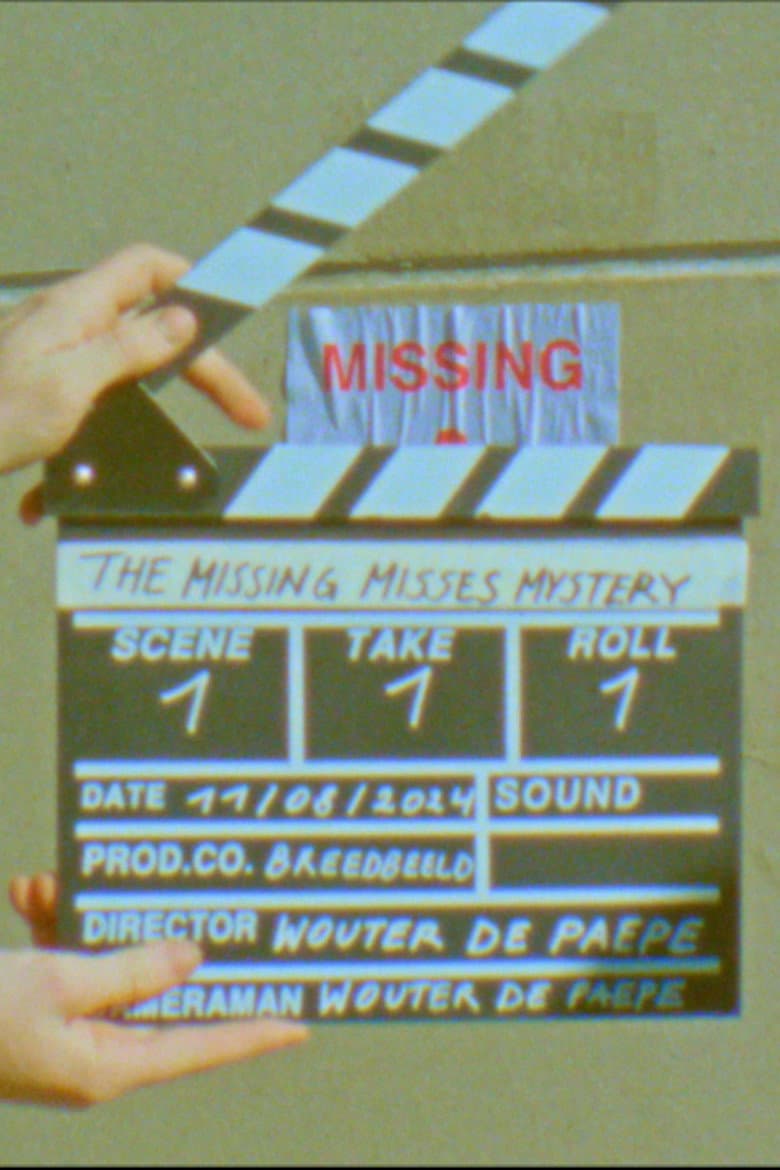 The Missing Misses Mystery poster