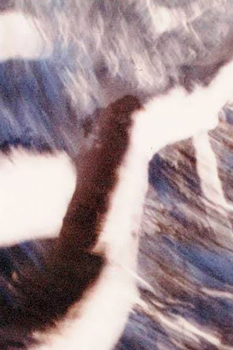 Earth Message poster