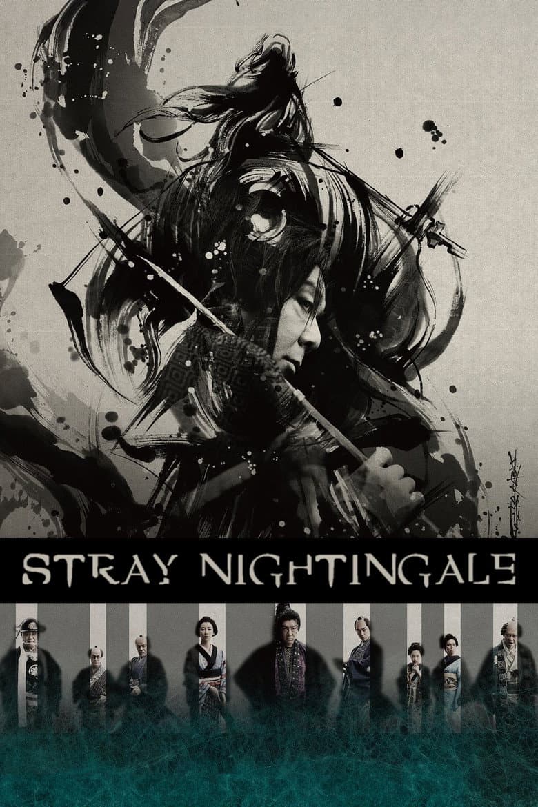 Stray Nightingale poster