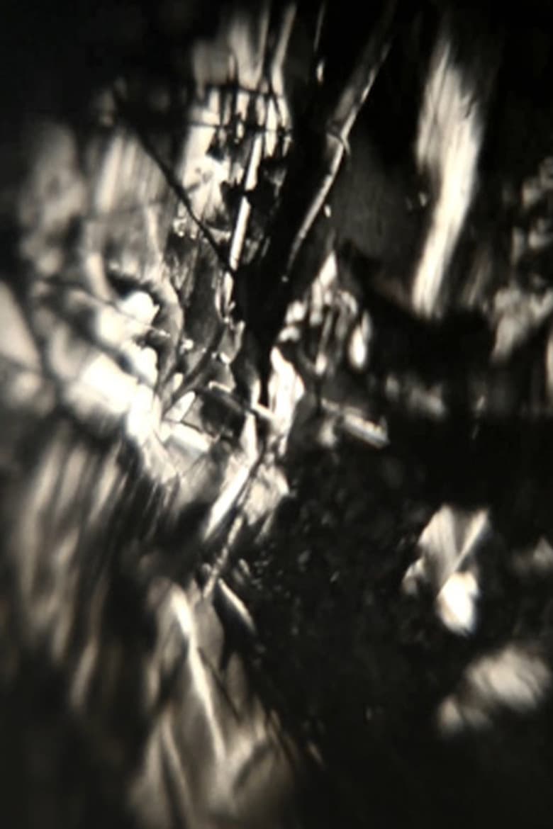 Chaos Is Order Misunderstood poster