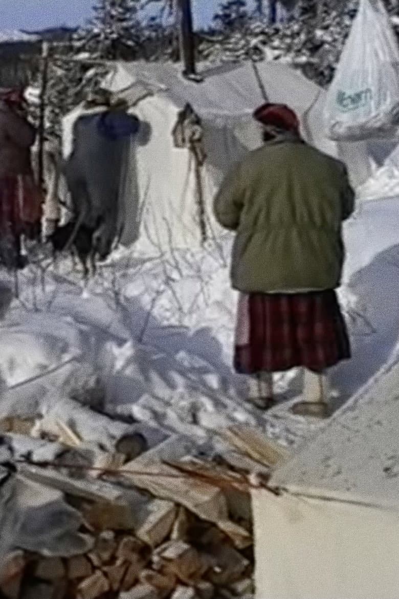 Innu aitun (connaissances traditionnelles innues) poster