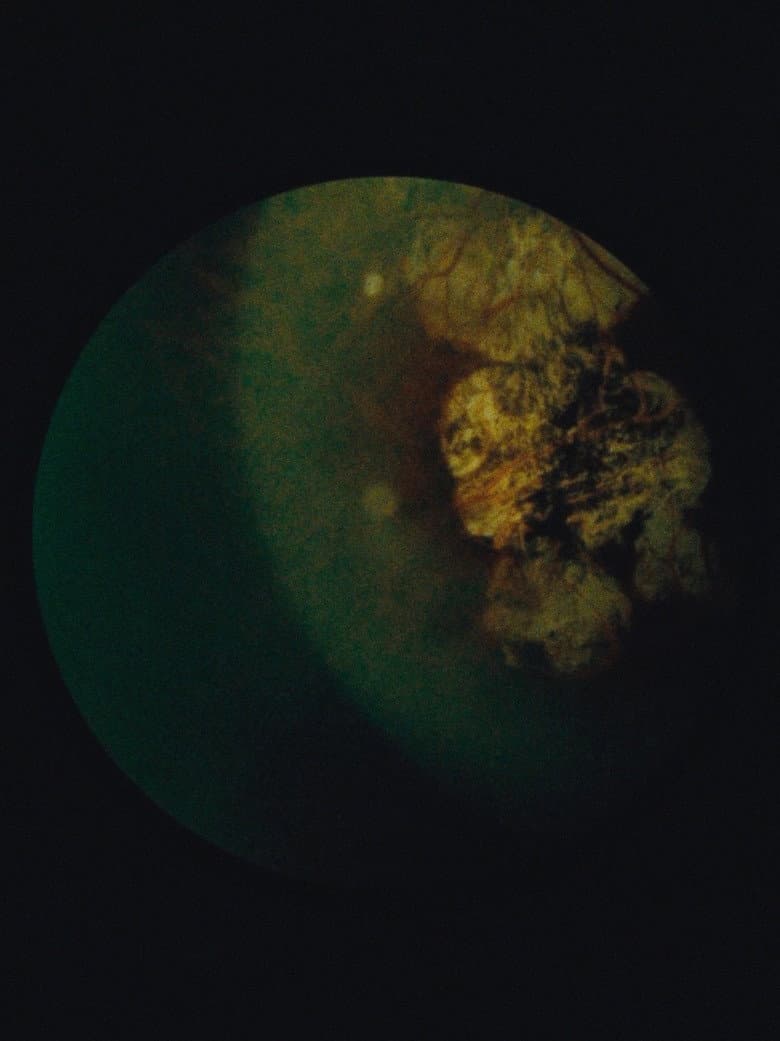 Immaculate Generations no. 1 poster