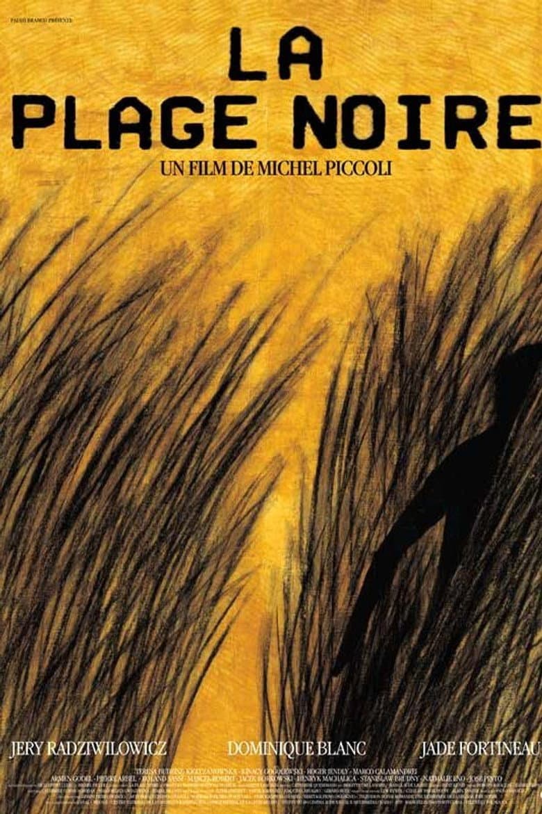 The Black Beach poster