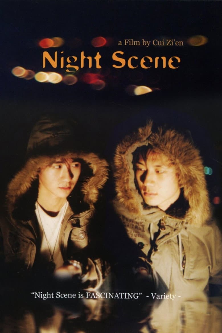 Night Scene poster