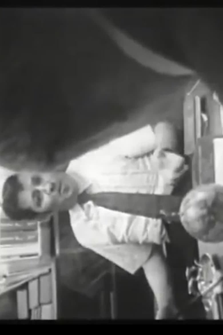 Who Shot Alexander Hamilton poster