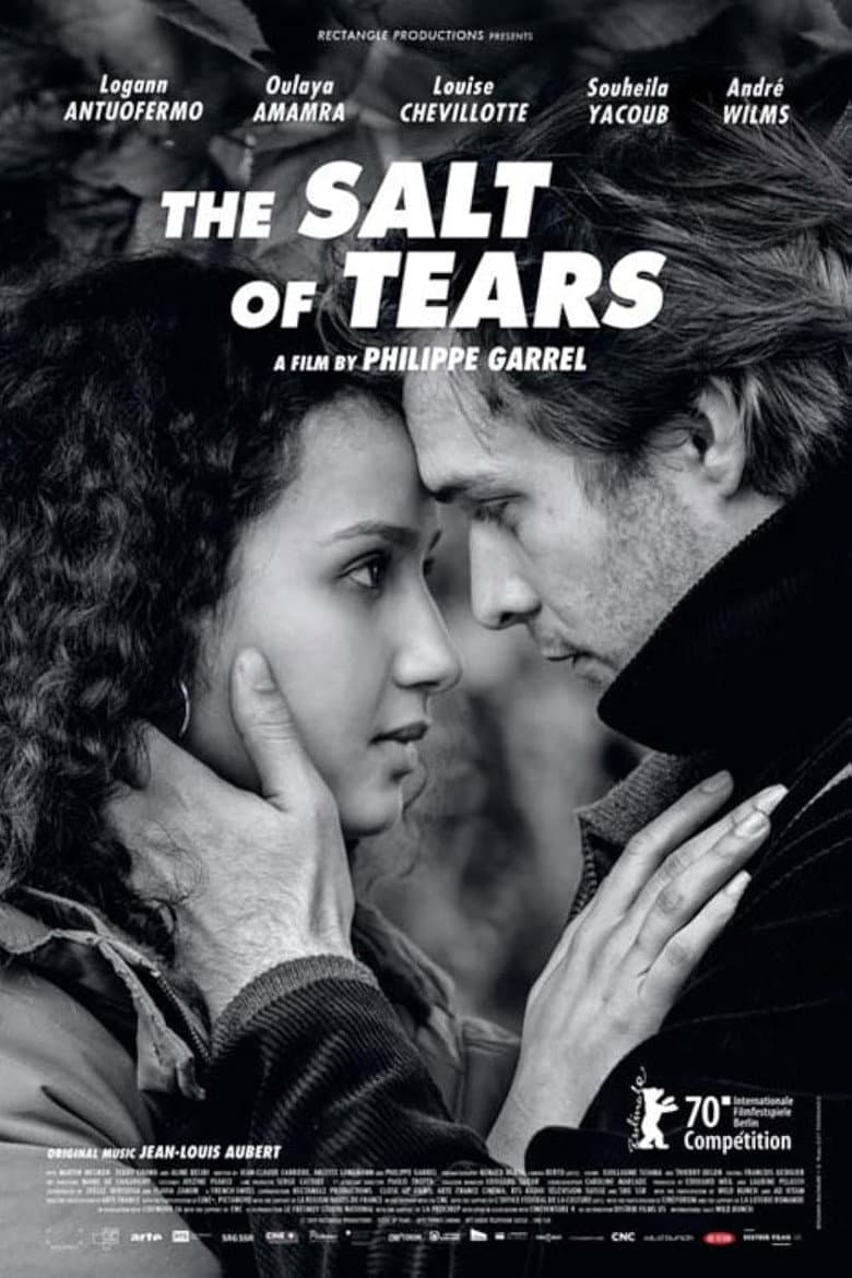 The Salt of Tears poster