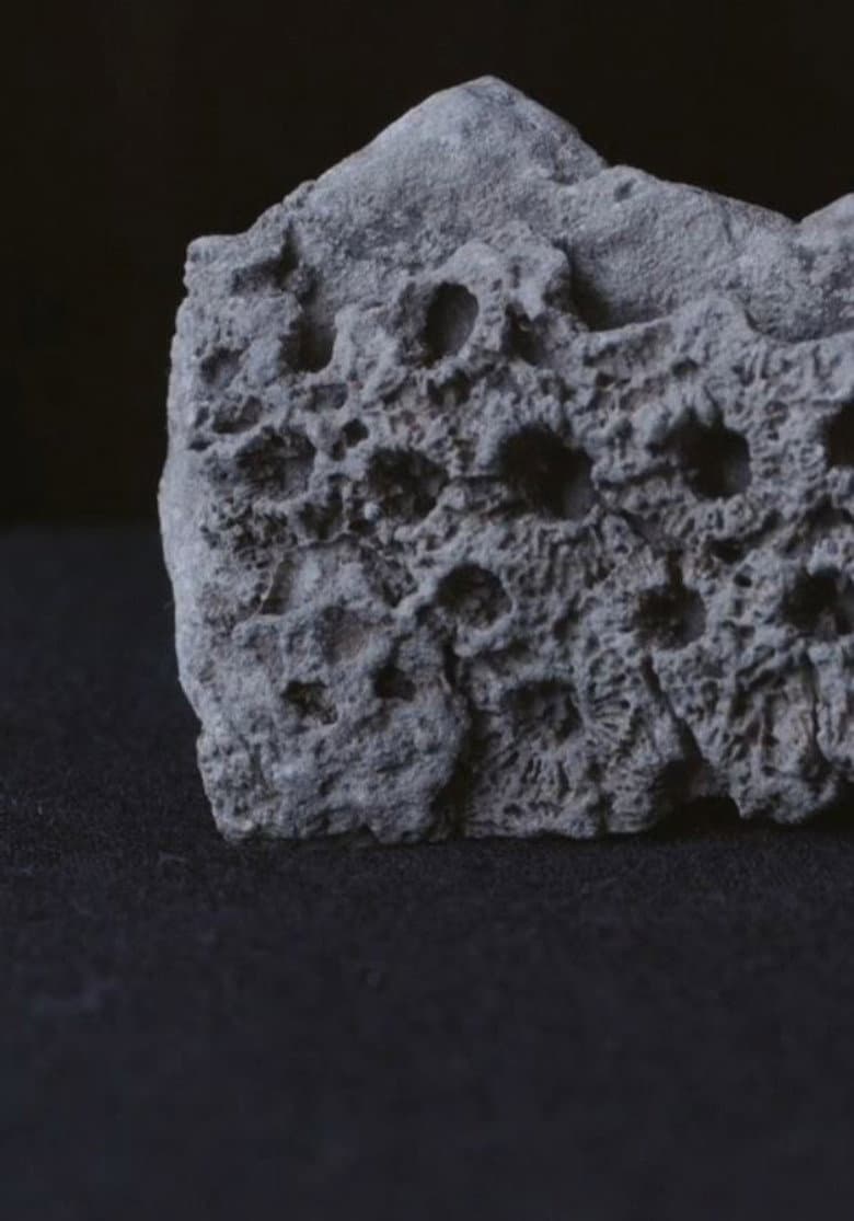 House of Stones poster