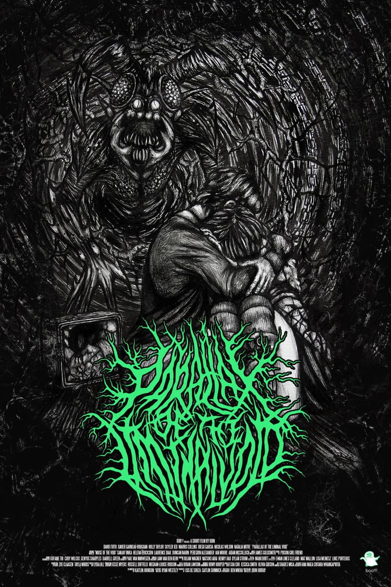 Parallax Of The Liminal Void poster