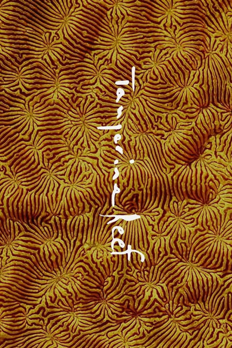 Tangerine Reef poster