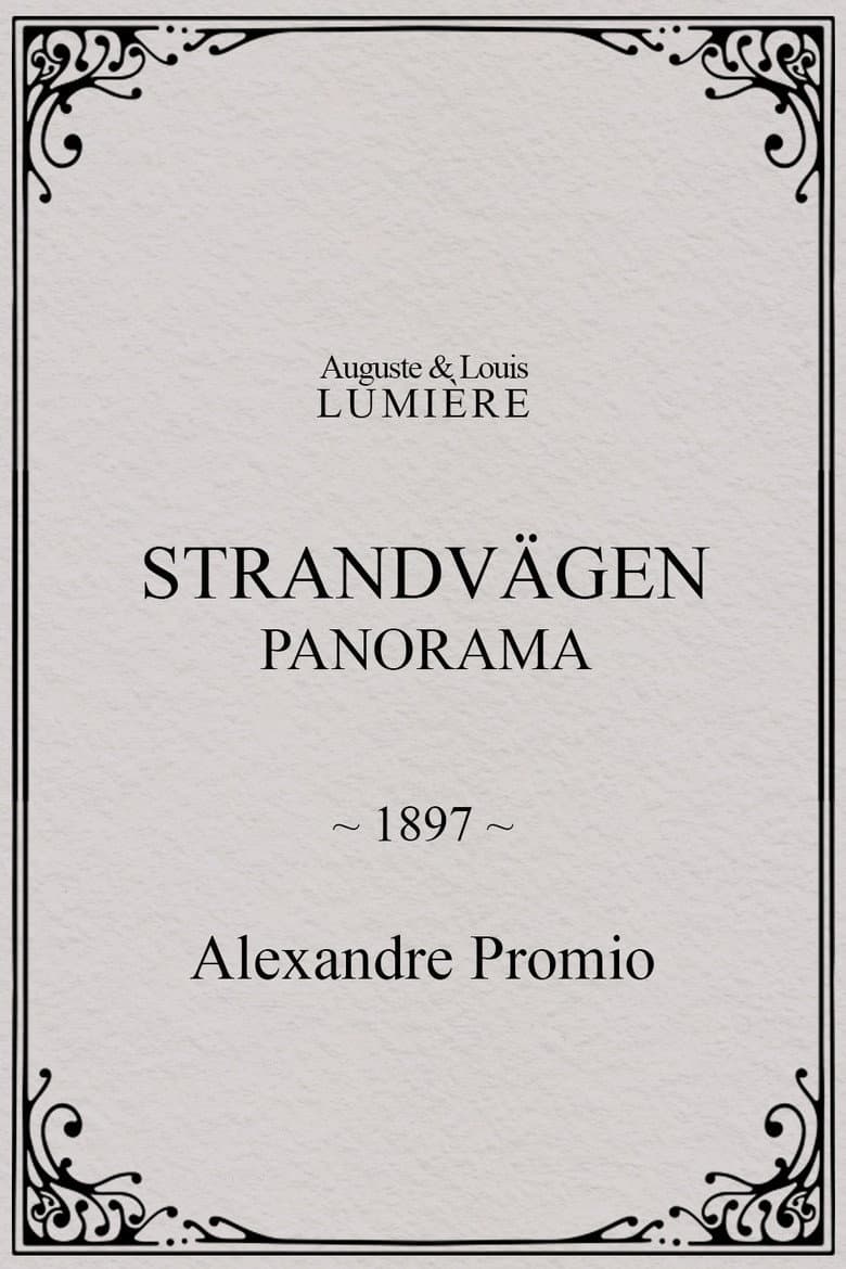 Strandvägen : panorama poster