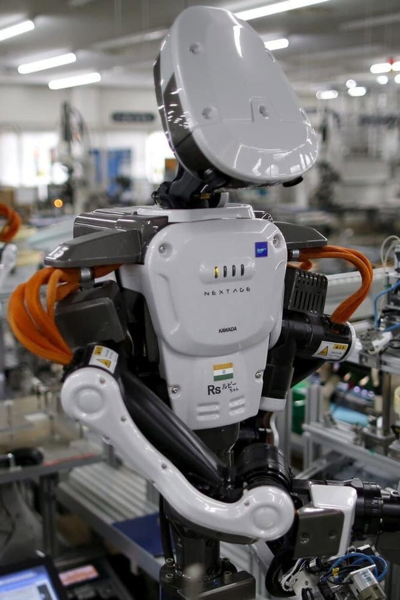 Will a Robot Steal My Job? poster